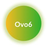 Ovo6